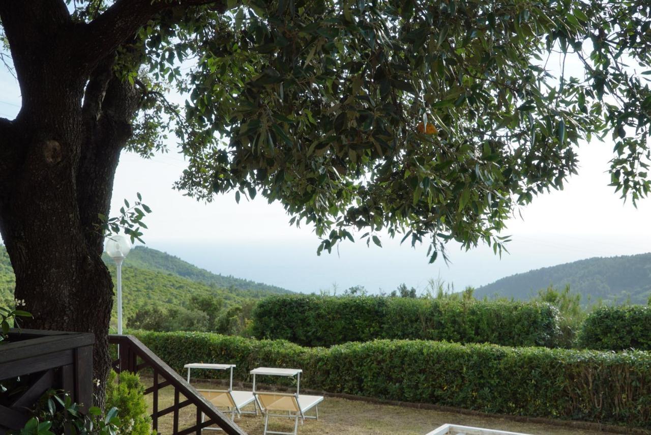 B&B Il Piccolo Paradiso Montenero  المظهر الخارجي الصورة